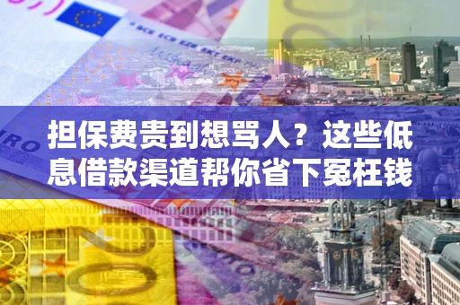 济南担保费贵到想骂人？这些低息借款渠道帮你省下冤枉钱