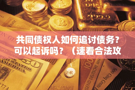 济南共同债权人如何追讨债务？可以起诉吗？（速看合法攻略）