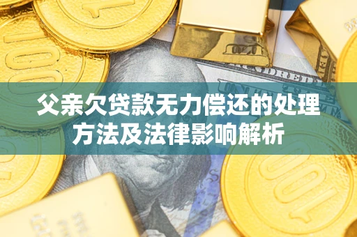 济南父亲欠贷款无力偿还的处理方法及法律影响解析