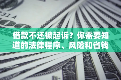 济南借款不还被起诉？你需要知道的法律程序、风险和省钱技巧